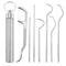 Dental Teeth Pick Stainless Steel Toothpick Set Reusable Tooth Stains Remover Dental Tool Teeth Cleaning Tools with Holder for Outdoor Picnic, Cam...