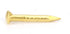 Brass Nails, 100 Pieces Round Head Gold Nails, Brass Wall Pins 10mm 15mm 18mm 22mm, Furniture Brass Tacks for Wood, for Hanging Picture Frame Mirr...