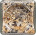 The New Primal THE NEW PRIMAL Organic Everything Bagel Seasoning, 2.5 OZ...