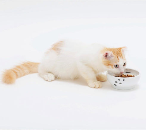 Necoichi Ceramic Cat Bowls for Indoor Cats - Cat Food Bowl, Cat Water Bowl, Cute Cat Dishes for Food, Whisker Friendly, Anti-Spill Feeding for Sma...