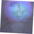 2pcs Background Ambient Light Romantic Sunset lamp Rainbow Lights Decorative Night Lights Rainbow Projection lamp Starlight Projector Mini lamp Ho...