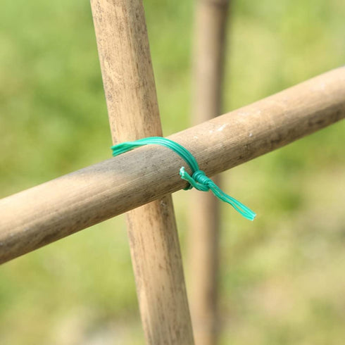 Twist Ties 66 Feet Gardening Wire Plant Green Coated Spool Dispenser Secure Cutter Indoor Outdoor Multifunction Office Organization Tomatoes Vines...