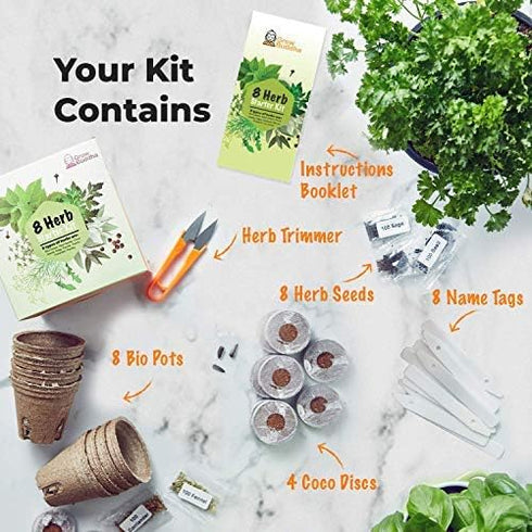Grow Buddha herb Seeds Variety Pack, Your Own Gardening Kit – Easily Grow Your own herb Garden with Our Complete Beginner Friendly herb Seeds Star...
