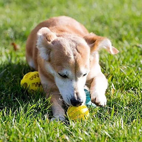 (2 Pack) Dog Puzzle Toy Teething Ball Nontoxic Durable Chew Toy Teeth Cleaning Chewing Playing Treat Dispensing Dog Toy (2 Pack) (Turquoise Blue a...