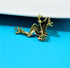 Rhinestone Frog Brooch Vivid Animal Pin Full Glasses Design Alloy Material Green Color Women And Men Jewelry...