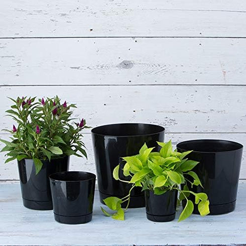 Novelty Majestic Full Depth Round Cylinder Pot, Glossy Black, 8-Inch (10088)...