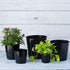 Novelty Majestic Full Depth Round Cylinder Pot, Glossy Black, 8-Inch (10088)...