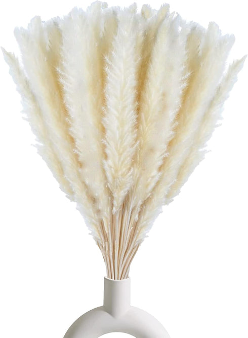 30 Pcs White Pampas Grass ,17 inch/45 cm Natural Dried Pampas Grass Branches Decor for Home Kitchen Garden Party Photographing Flower Arrangement ...