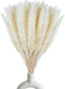 30 Pcs White Pampas Grass ,17 inch/45 cm Natural Dried Pampas Grass Branches Decor for Home Kitchen Garden Party Photographing Flower Arrangement ...