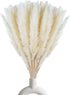 30 Pcs White Pampas Grass ,17 inch/45 cm Natural Dried Pampas Grass Branches Decor for Home Kitchen Garden Party Photographing Flower Arrangement ...