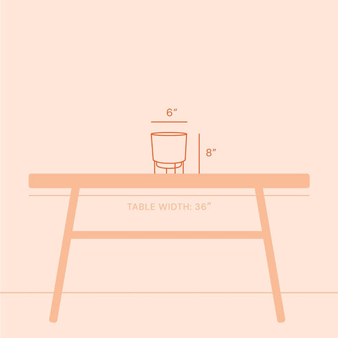 Bloem Hopson Round Planter with Gold Metal Stand: 6" - Casper White - Durable Plastic Pot, Powder Coated Removable Stand, for Indoor and Outdoor U...