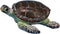 Small Turtle Figurines for Fairy Garden Accessories Outdoor Decor Miniature Sea Turtle Statue for Outside Garden Pond Decorations Animals Figure S...