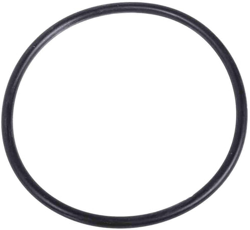 ACDelco 290-300 Front Wheel Bearing Seal (O-Ring)...