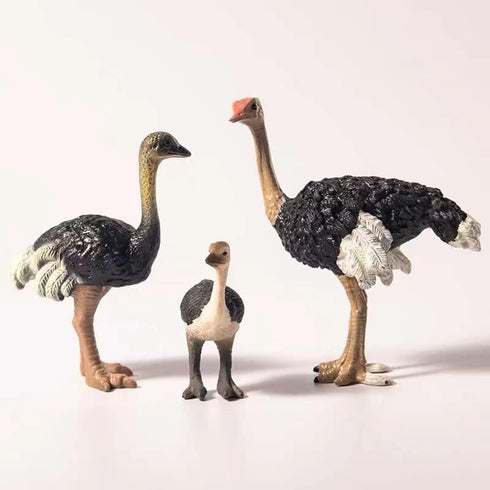 Gemini&Genius Ostrich Animal Action Figure Toys, Ostrich Animal Figurines Jungle Animal Playset Gift, Educational, Cake Toppers, Party Supplies, A...