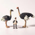 Gemini&Genius Ostrich Animal Action Figure Toys, Ostrich Animal Figurines Jungle Animal Playset Gift, Educational, Cake Toppers, Party Supplies, A...