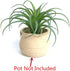 2 PCS Artificial Succulents Plants Unpotted Fake Tillandsia Air Plants Succulent Bouquet Arrangements Faux Plants DIY for Garden Decor Home Decora...