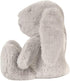Soft Plush Bunnies Stuffed Animals 12/16/20 Inch Long Ear Bunny Rabbit Easter Cartoon Toy Dolls for Kids Children Birthday Gift (Gray, 12 inch)...