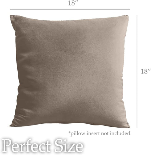 lalaLOOM Velvet Throw Pillow Covers, Set of 2, 18x18 Decorative Square Pillows Home Decor, Soft Accent Cases, Silky Machine Washable Pillowcases f...