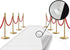 Red Carpet Floor Runner Hollywood Party Decoration Fabric 100 GSM (White, 2x15 Feet)...
