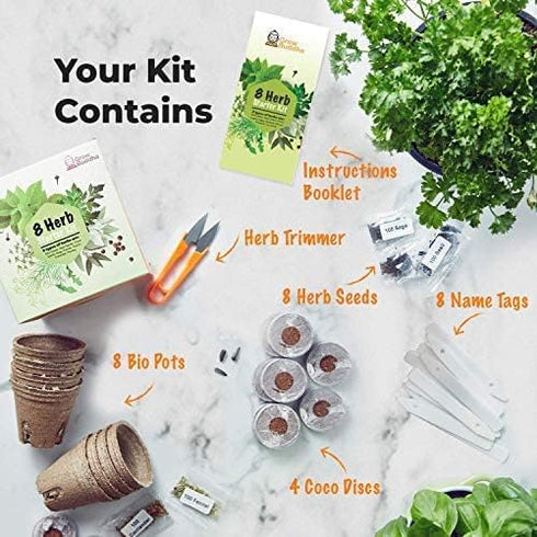 Grow Buddha herb Seeds Variety Pack, Your Own Gardening Kit – Easily Grow Your own herb Garden with Our Complete Beginner Friendly herb Seeds Star...