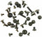 Full Set Screws Replacement Repair Parts with Bottom Pentalob Screws for ipad with Compact Protective PP Storage Box(ipad 2/ ipad 3/ ipad 4)...