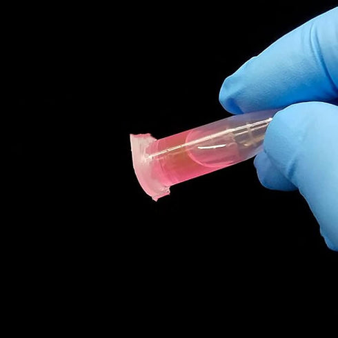 1.5ml Microcentrifuge Tubes with Snap Cap, Polypropylene Graduated, 500 Pcs Sterilized Clear Plastic Small Vials with Caps for Sample Storage with...