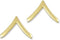 US Army Brite Shiny Metal Pin-On Rank...