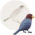Bird Silicone Molds Birds Fondant Chocolate Mold For Cake Decoration Cupcake Topper Candy Polymer Clay Gum Paste...