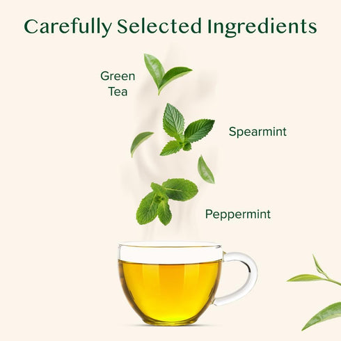 VAHDAM, Mint Green Tea Bags (30 Count) 100% Pure Leaf Tea, High Grown, Low Caffeine, Non GMO, Gluten Free | Individually Wrapped Plant-Based Pyram...