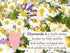 Babo Botanicals Calming Lavender 2-in-1 Bubble Bath & Wash - Relaxing Chamomile & Lavender - EWG Verified- Vegan- For all ages- Scented with Laven...