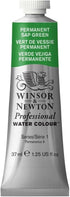 Winsor & Newton Professional Water Colour Paint, 1.25-oz Tube, Permanent Sap Green...