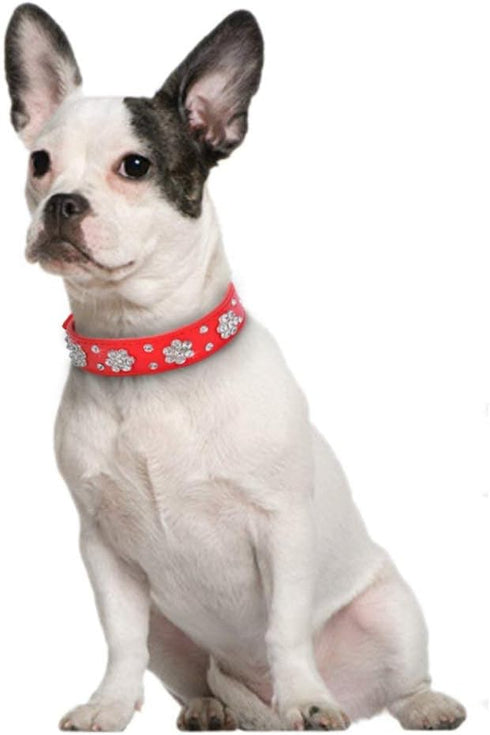 Rhinestone Dog Collar, Cute Flower Rhinestone Cat Dog Collar Bling Collar PU Leather Collar Adjustable Sizes Small Medium Large (M, Red)...