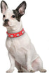 Rhinestone Dog Collar, Cute Flower Rhinestone Cat Dog Collar Bling Collar PU Leather Collar Adjustable Sizes Small Medium Large (M, Red)...
