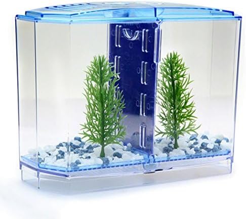 Penn-Plax Twin Betta Bow-Front Kit for Aquarium Blue, Green, Tank is 7.5" Across The Front, 6" Across The Back...