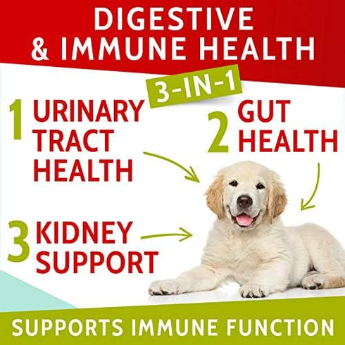 Green Lawn Chews for Dogs - Green Grass Chews - Urine Neutralizer Grass Burn Spots - Lawn Burn from Dog Urine - Probiotics & Enzymes - Made in USA...