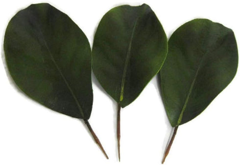 Artificial Magnolia Leaves Pack of 30 Leaves...