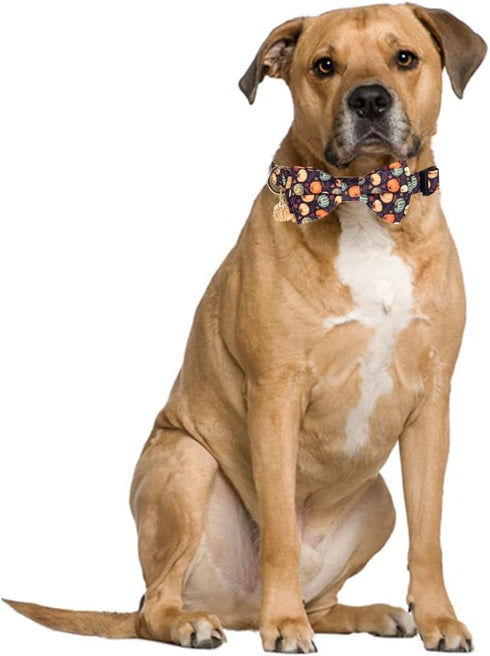 Thanksgiving Day Dog Collar Fall with Bowtie and Bell Autumn Holiday Adjustable Pet Collars for Dogs (Pumpkin,Large)...