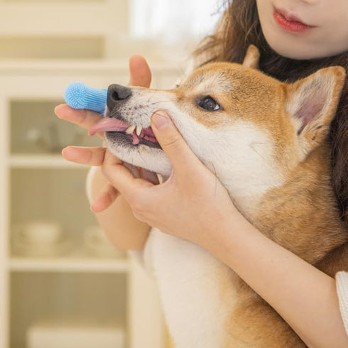 Finger Toothbrush for Optimal Pet Oral Care - Blue : Achieve Dental Health Excellence!...