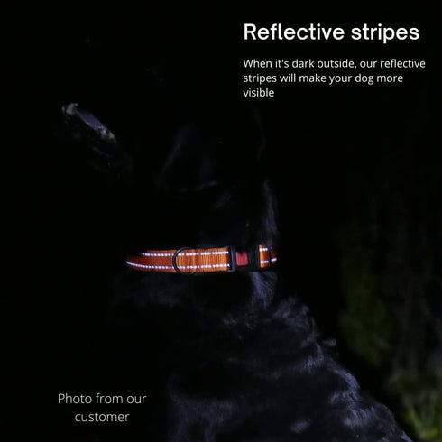 CollarDirect Reflective Dog Collar for a Small, Medium, Large Dog or Puppy with a Quick Release Buckle - Boy and Girl - Nylon Suitable for Swimmin...