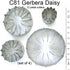 Daisy 12 Petal 4 Cutter Set by WSA...