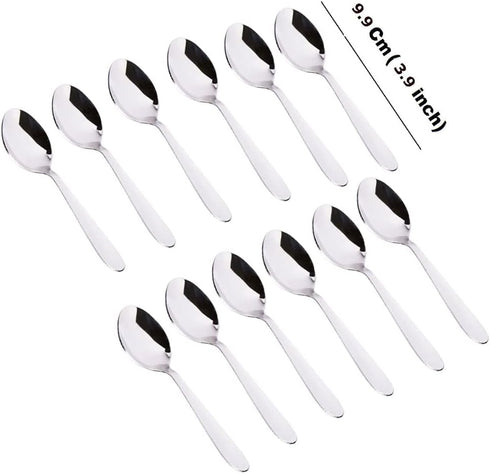 Stainless Steel Spice Box Spoons Set of 12 (Silver)...