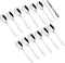 Stainless Steel Spice Box Spoons Set of 12 (Silver)...