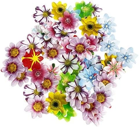 Set of 48 Edible Mini Flower Cupcake Toppers Wedding Cake Birthday Party Food Decoration Mixed Size & Colour...