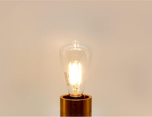 Dream lighting LED Edison Bulb 3W, 150 Lumens, Warm White 3000K, LED Vintage Replace Globe Dinette Light Fixtures, pack of 2...