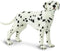 Safari Ltd Best in Show Dalmatian...