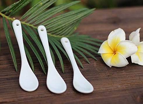 White Porcelain Spoons Coffee, Tea, Yogurt and Ice-cream, Cutlery Fitting Ceramic Spoons 5 Inch Set of 10...