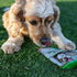 Loving Pets Toothsticks – Fresh Mint Dental Sticks for Dogs (for medium/large dogs 20-100+ lbs)...