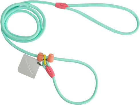 4.9FT Durable Nylon Dog Leash with Comfortable Handle for Walking and Training, pet Leashes Featuring for Medium Dogs Small Puppy (Minty Green)...