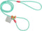 4.9FT Durable Nylon Dog Leash with Comfortable Handle for Walking and Training, pet Leashes Featuring for Medium Dogs Small Puppy (Minty Green)...