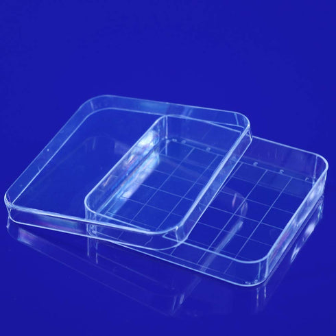 Scicalife 10 Sets Square Petri Dish with Lids, Plastic Material, Container for School Lab Science Experiment...